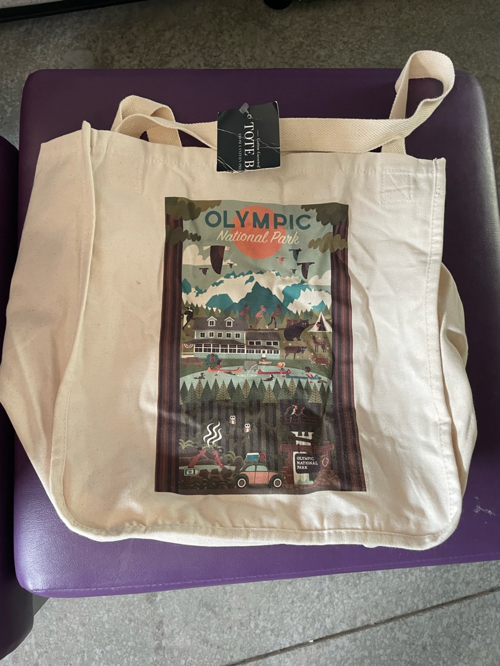 Olympic National Park Illustrated Canvas Tote - Multi